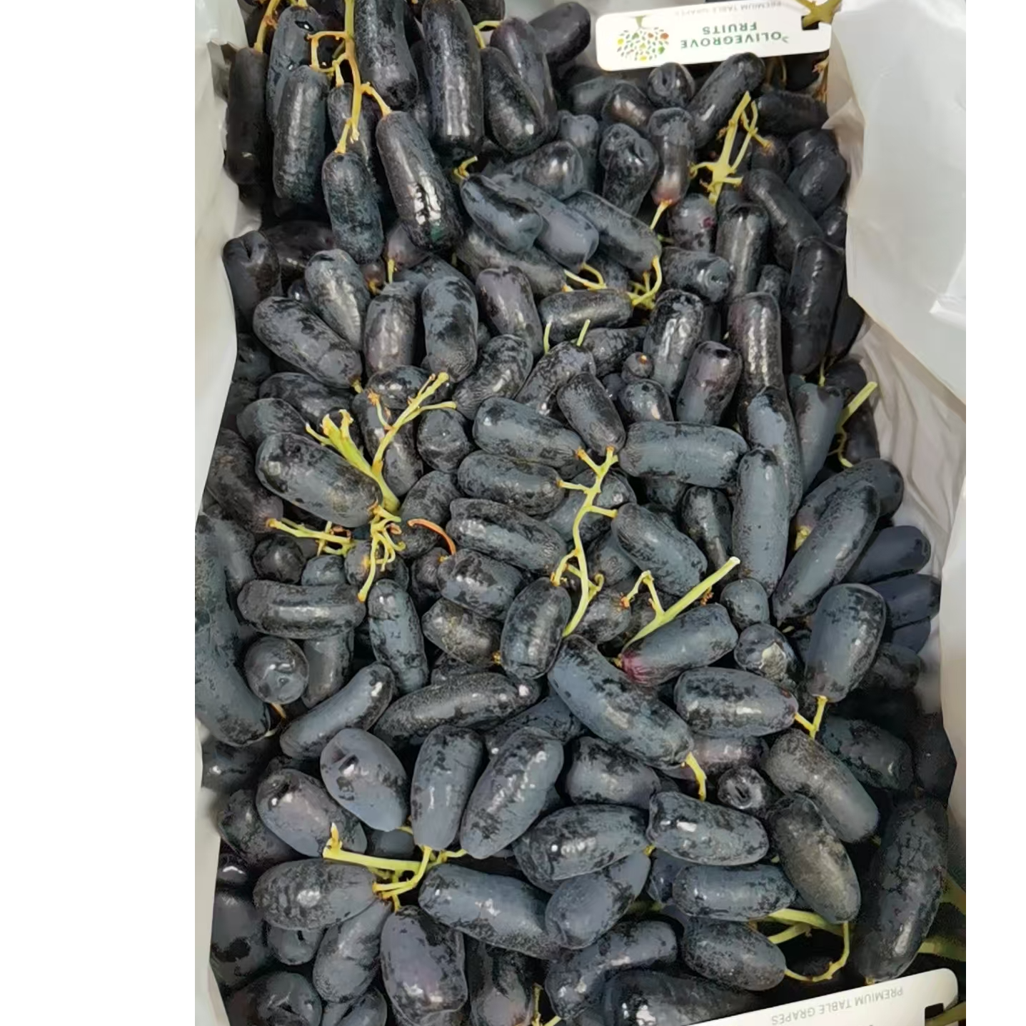 【散装2斤】金手指散装2斤左右