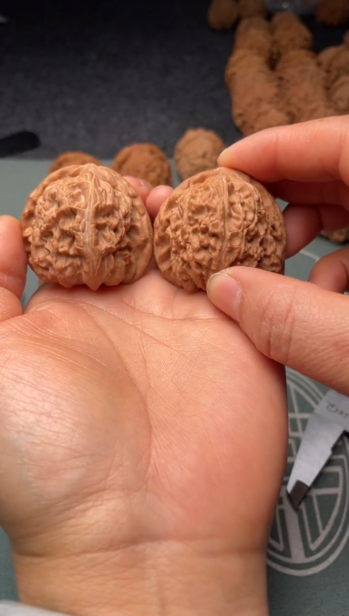 把件文玩核桃w147  白狮子   42尺