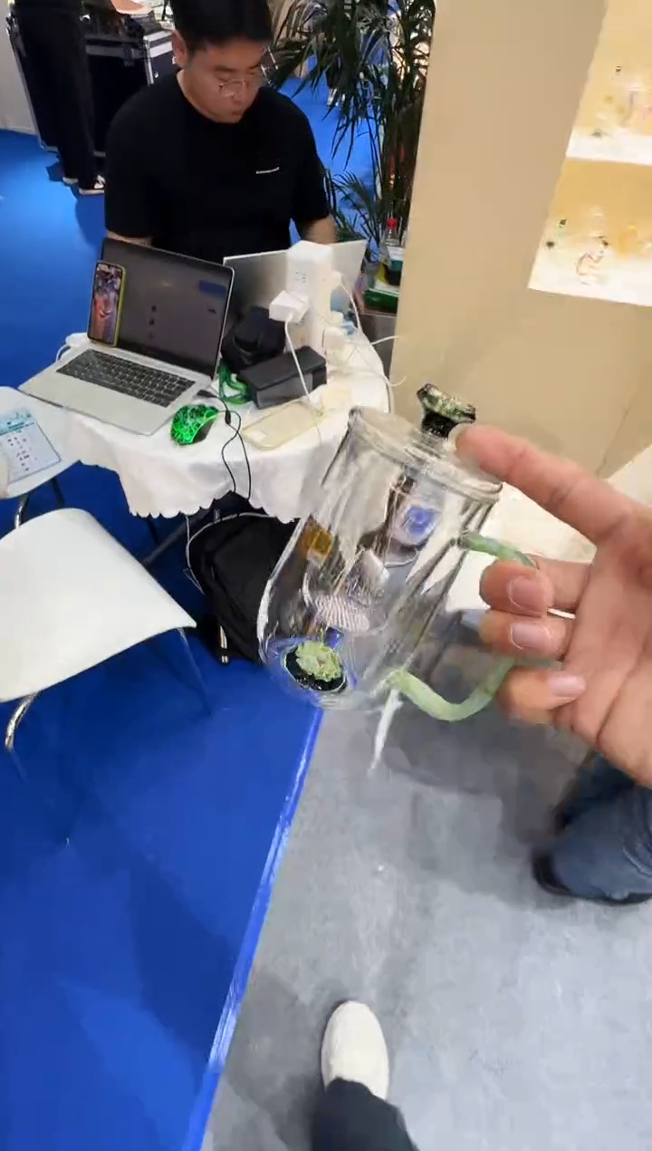 优雅杯绿海棠 晶焱金标