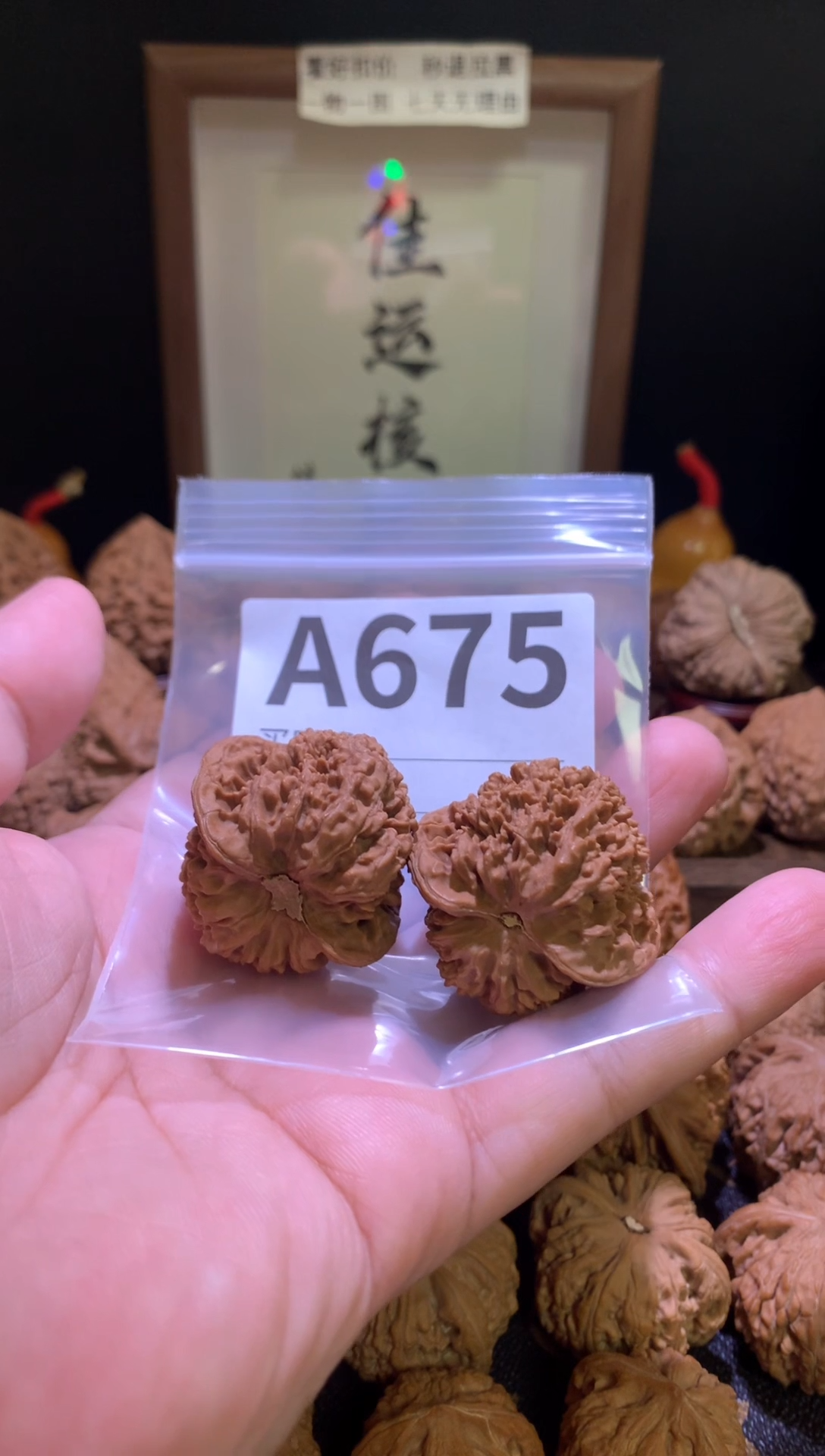 把件文玩核桃侧*满天星38尺