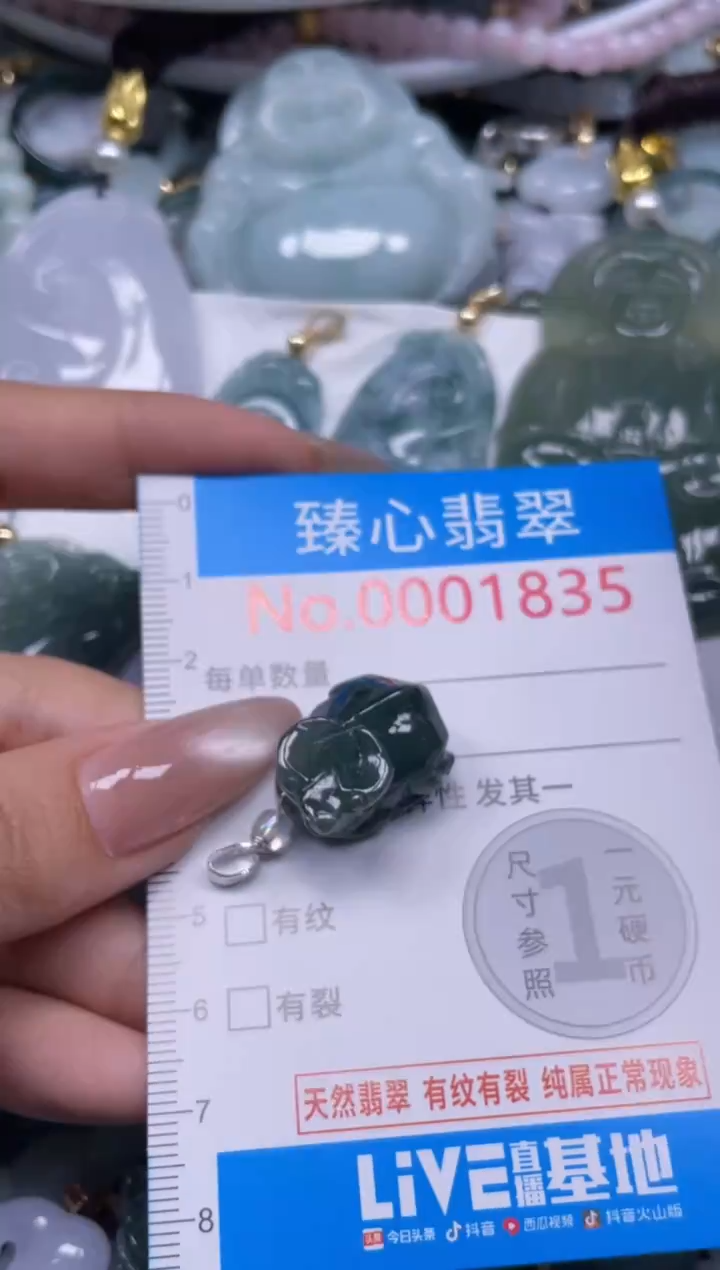 颈饰未镶嵌翡翠1835