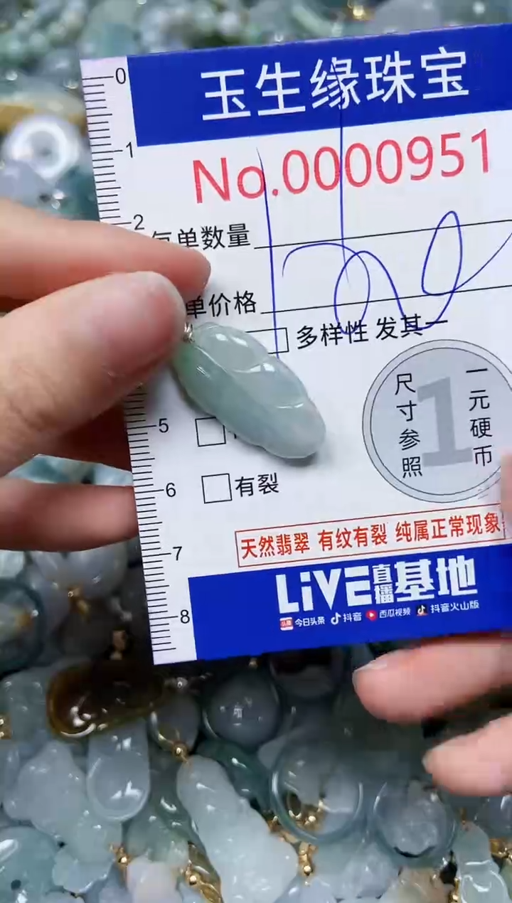 【闪购商品】翡翠颈饰未镶嵌闪购0000951