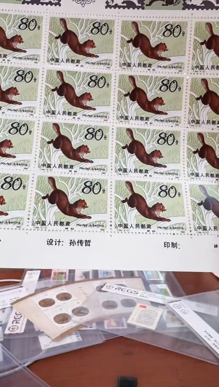 《紫 貂 邮票》大版 CSGS评级 邮票