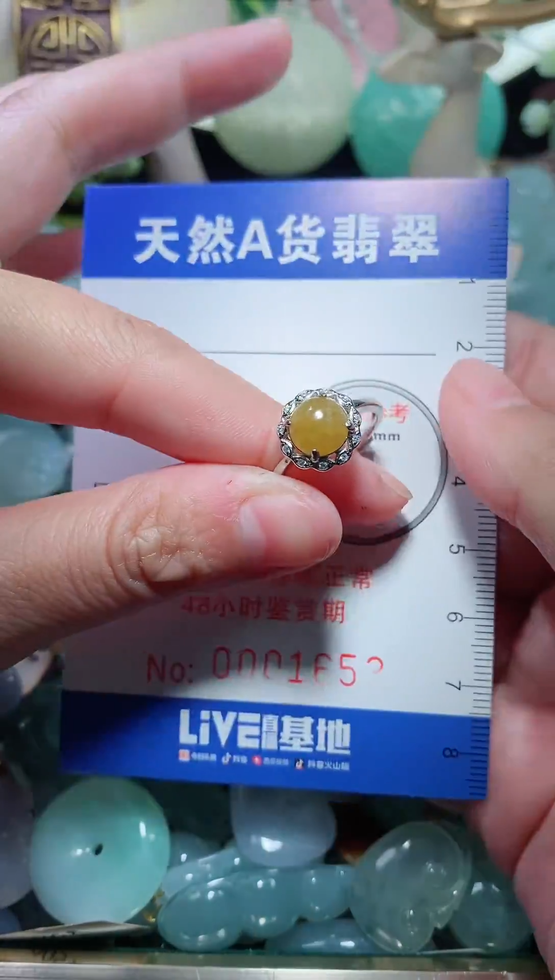 【闪购商品】翡翠颈饰未镶嵌 天然A货翡翠一件