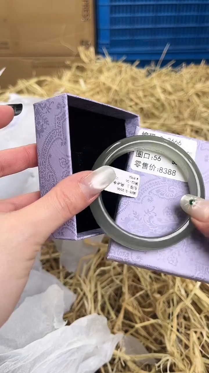 未镶嵌手镯石英质玉D-2666