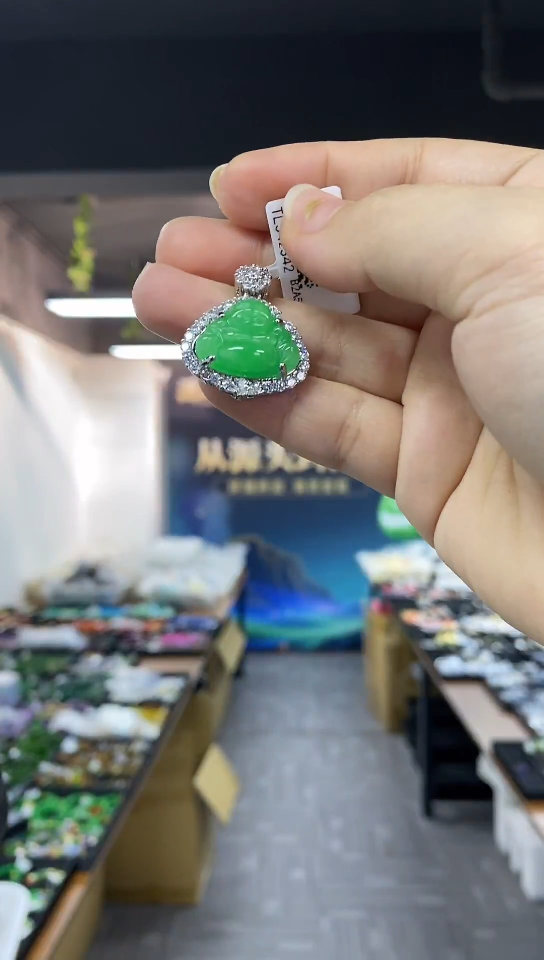 颈饰未镶嵌翡翠多样性发其一颜色微差