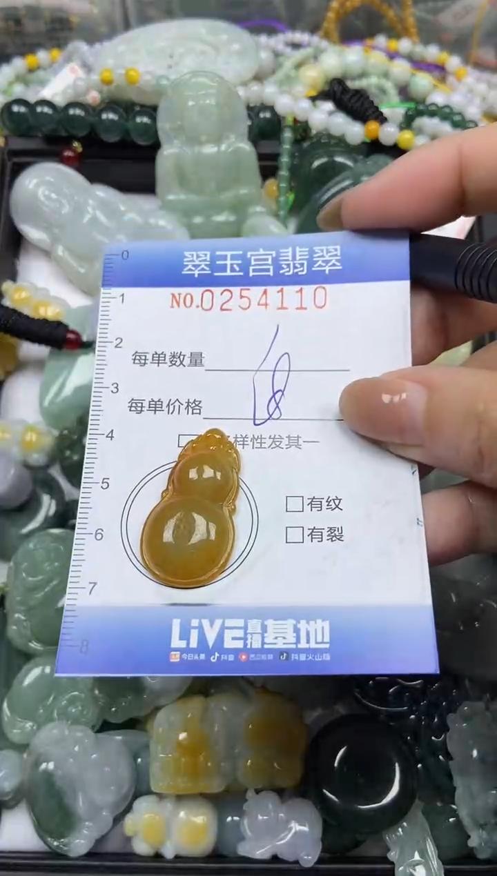 颈饰未镶嵌翡翠闪购C0254110