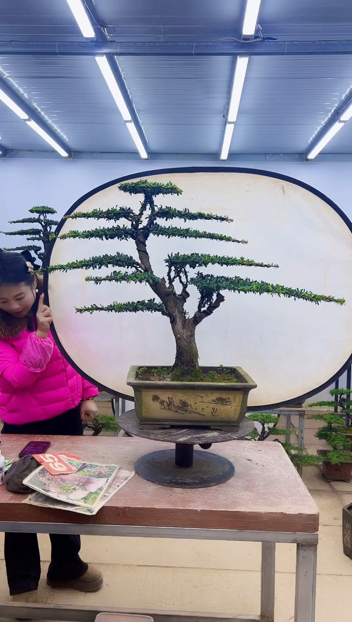 无花朵一物一拍，所见即所得