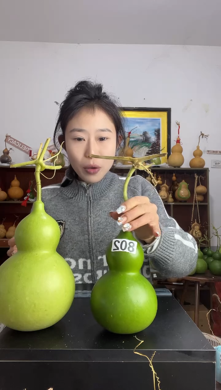 802天然葫芦摆件 一物一拍龙头不保售后