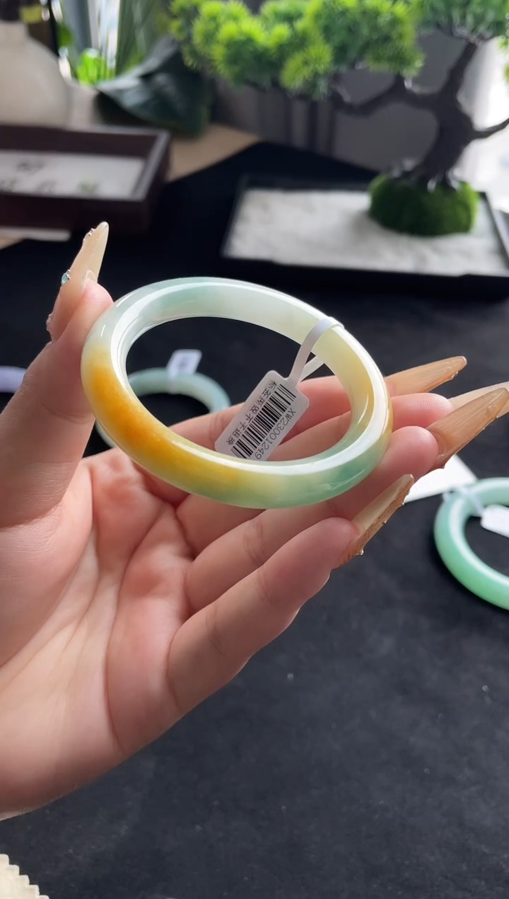 未镶嵌手镯翡翠三天鉴赏期