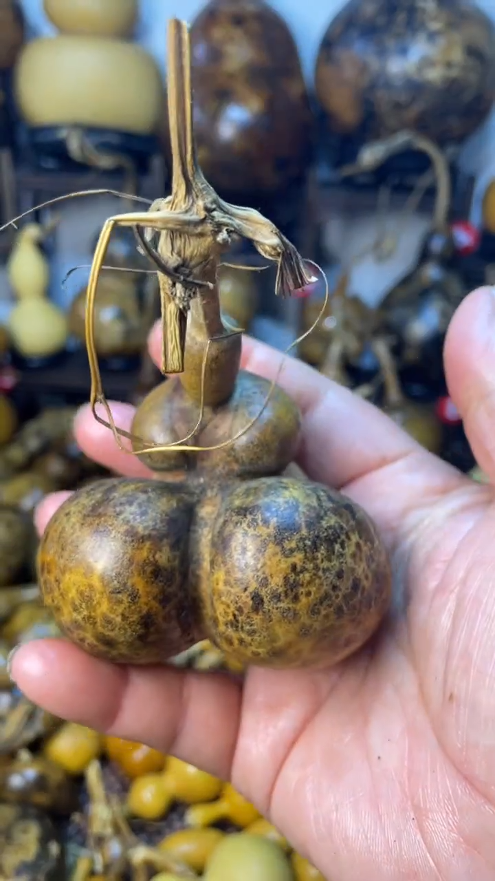 【闪购商品】葫芦葫芦葫芦葫芦