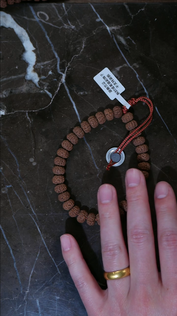 手串金刚菩提002 六瓣纯血老树王单圈 10+
