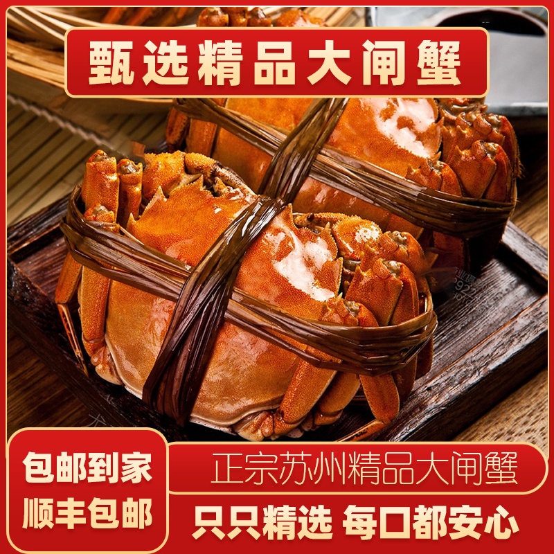 【活蟹】苏州精品大闸蟹 全母蟹4.2-3.9两拍6只加2只金标大闸蟹A