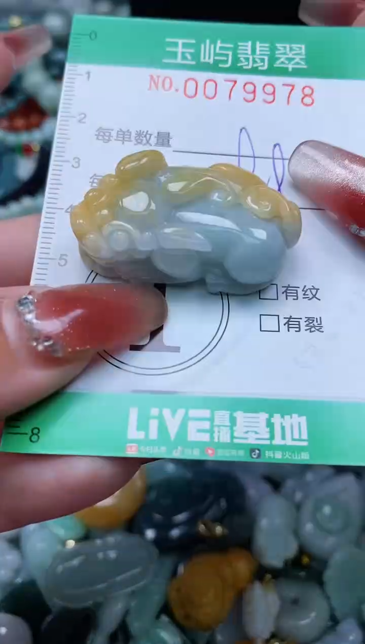 【闪购商品】翡翠颈饰未镶嵌闪购0079978