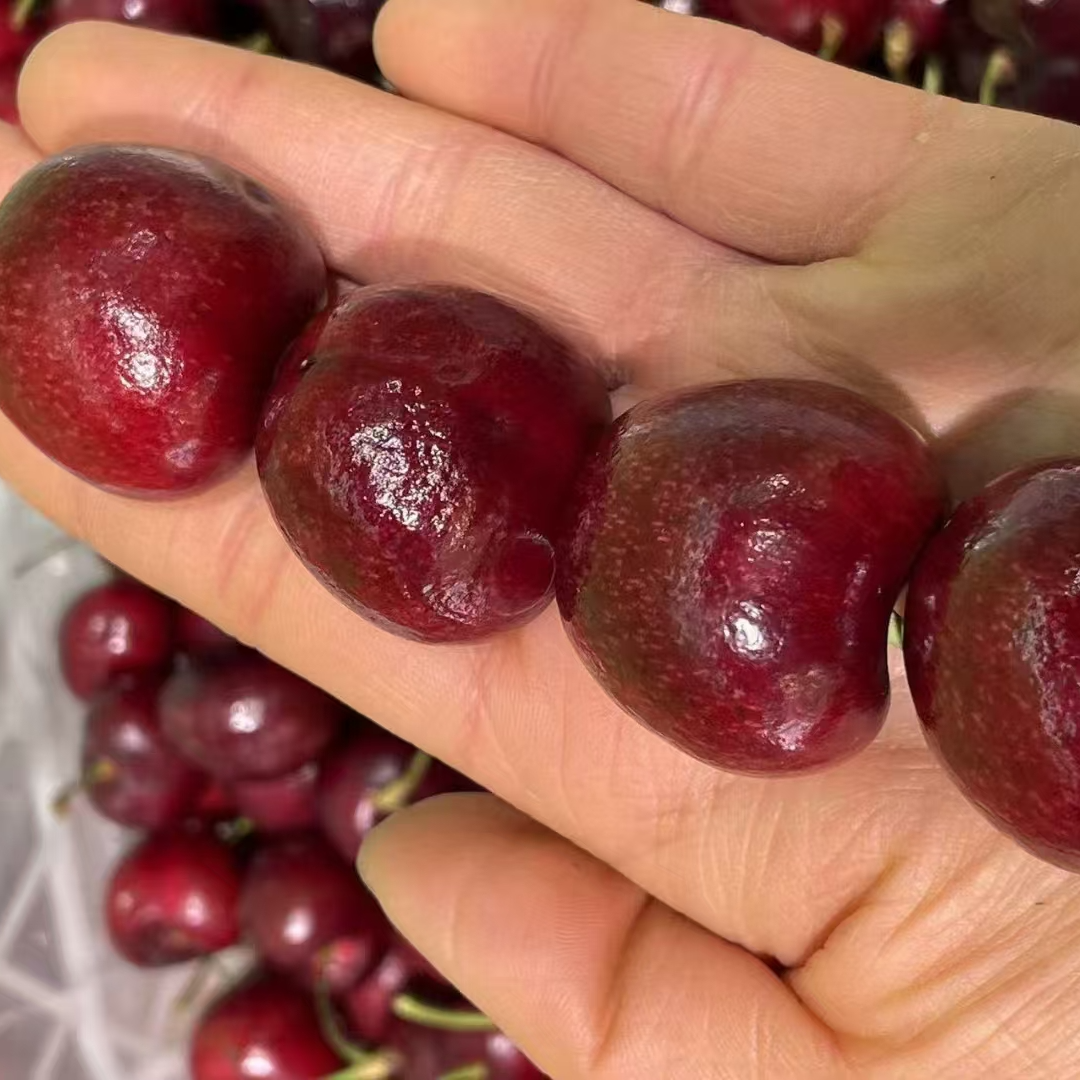 车厘子J-3J果2斤