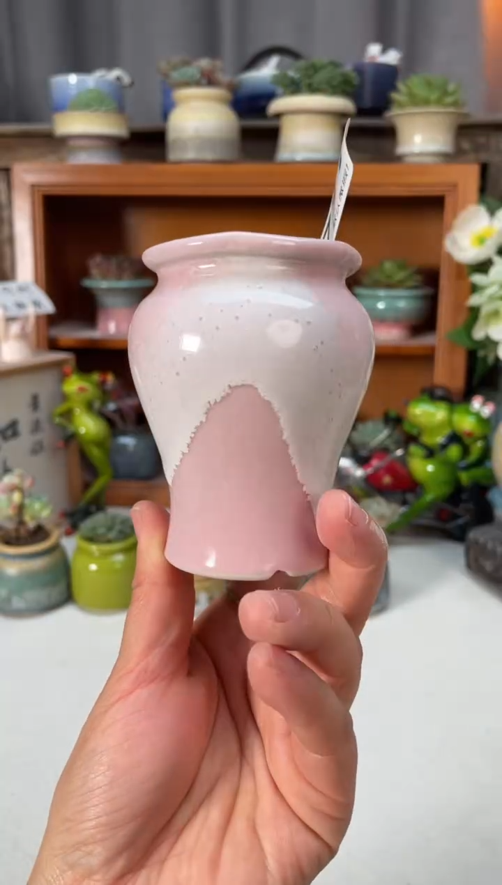 瓷片731小芳直播编号