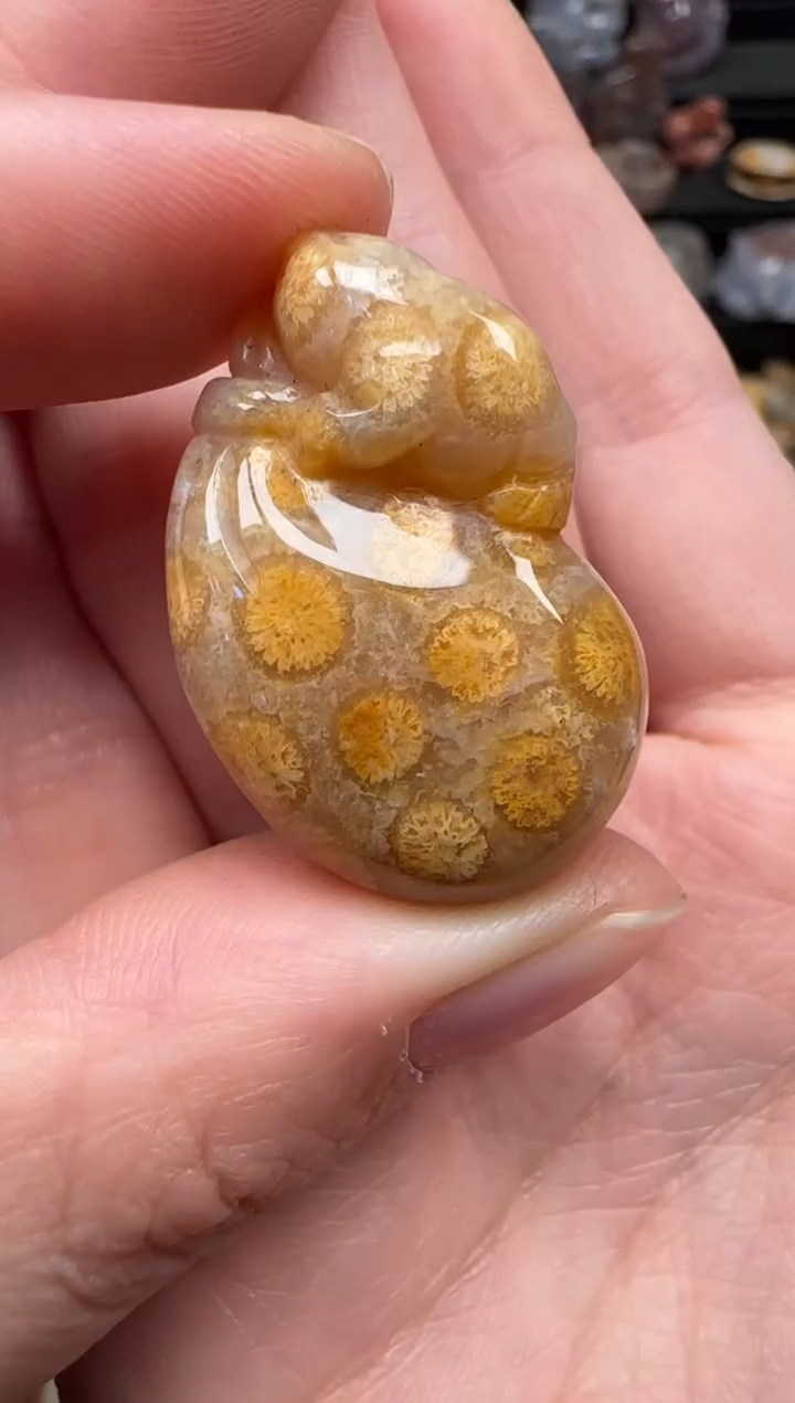 颈饰未镶嵌硅化珊瑚（珊瑚玉）210