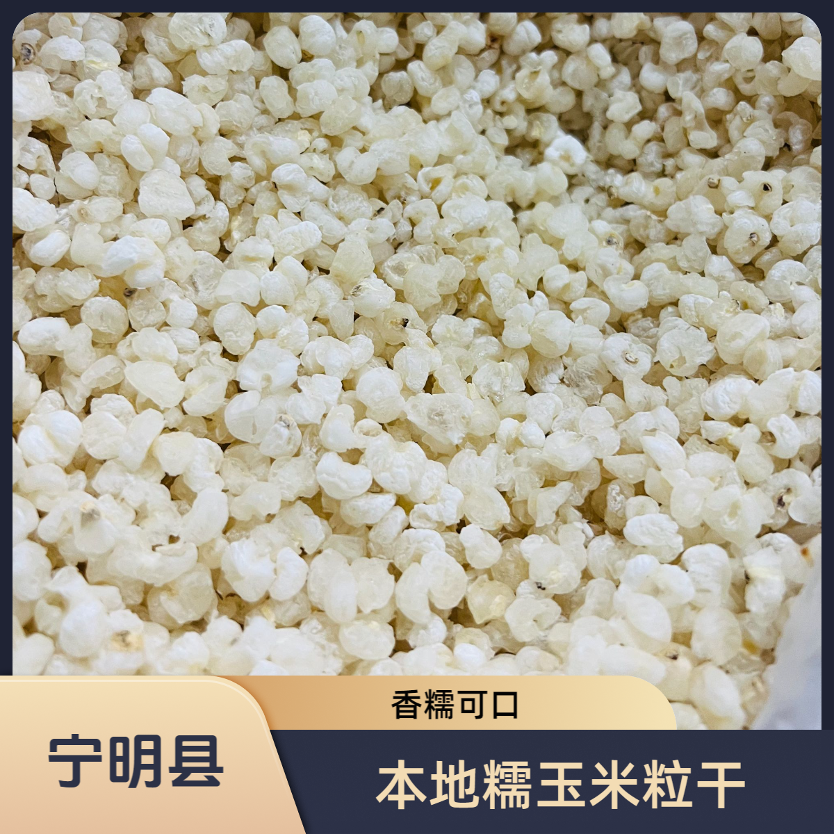 广西崇左宁明县本地干五谷杂粮玉米粒可做酒鬼玉米