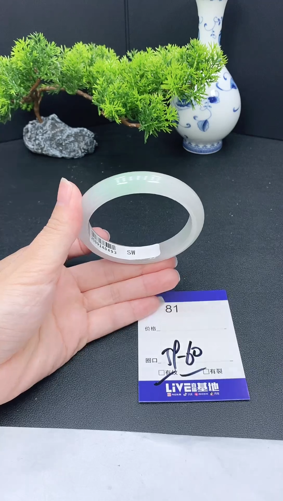 未镶嵌手镯翡翠81