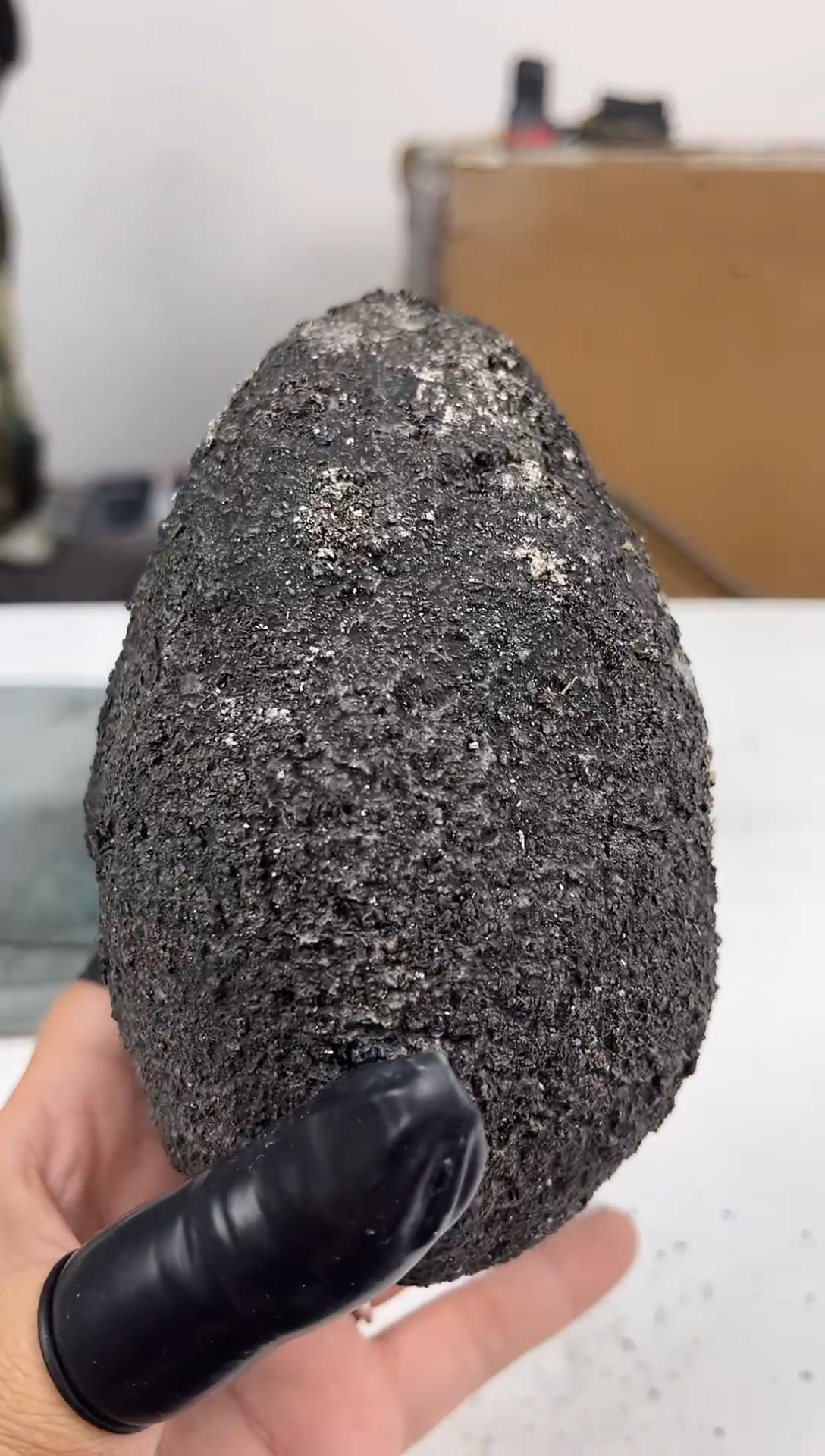 吊坠菩提根/象牙果就*菩提果菩提果菩提果