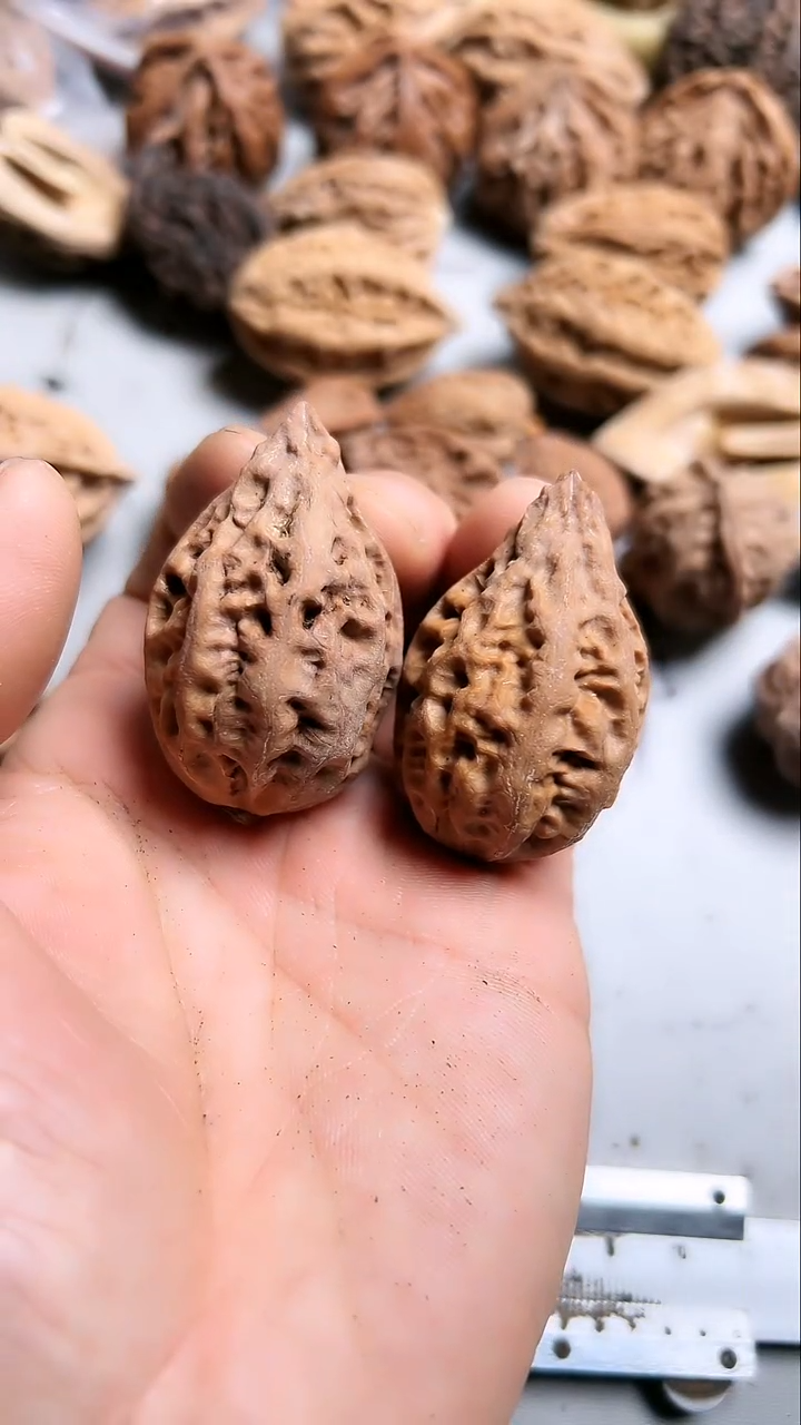 核桃东北野生大秋子7