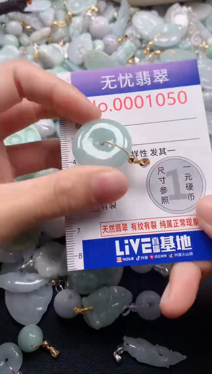 颈饰未镶嵌翡翠1050