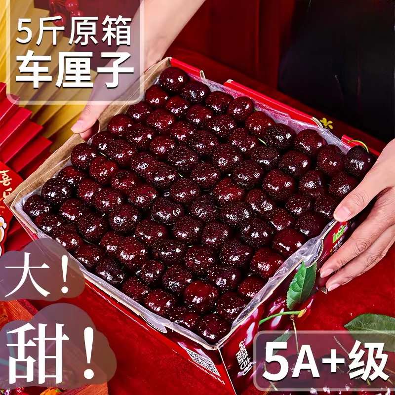 y【3JD原箱净重5斤】智利车厘子新鲜水果进口车厘子内附果径卡海运