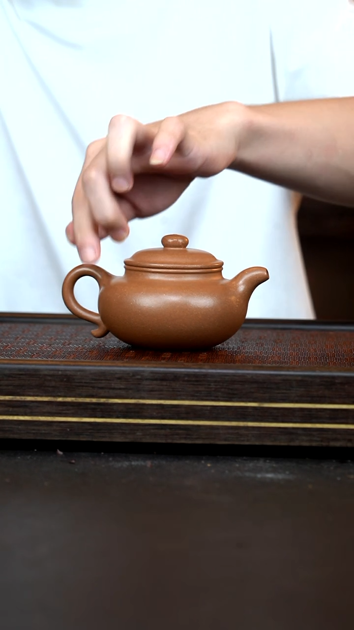 茶壶紫砂LZX沉香段仿古240CC
