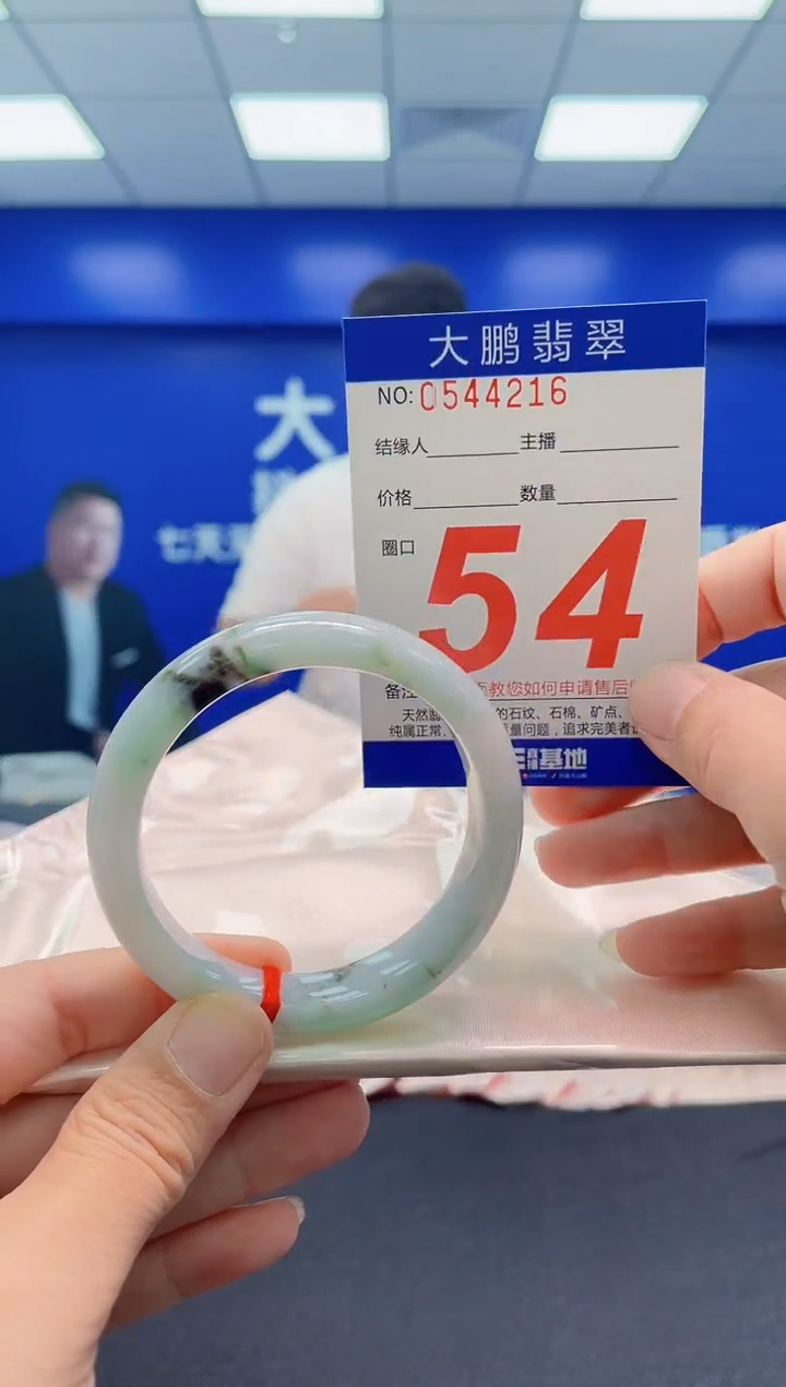 未镶嵌手镯翡翠AAAAAAAAA