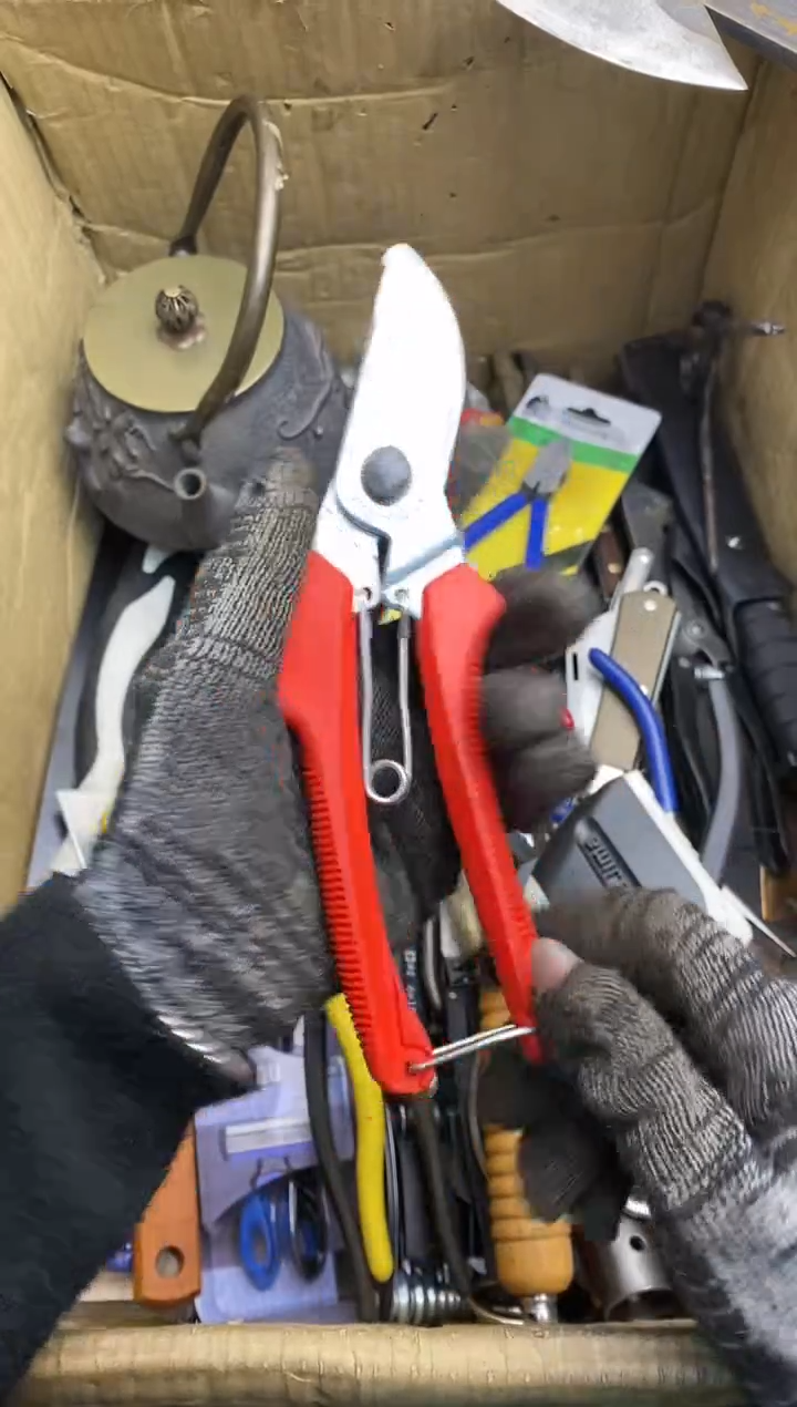 归*五金园艺农具厨具工具闪购