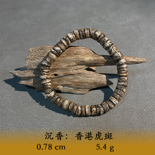 LSETP天然野香港虎斑C732