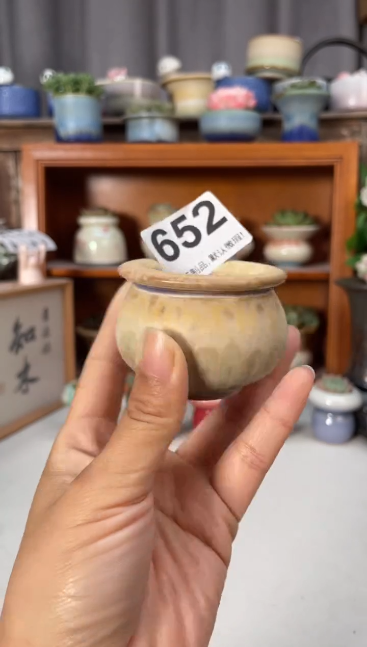 瓷片652知木小芳花盆