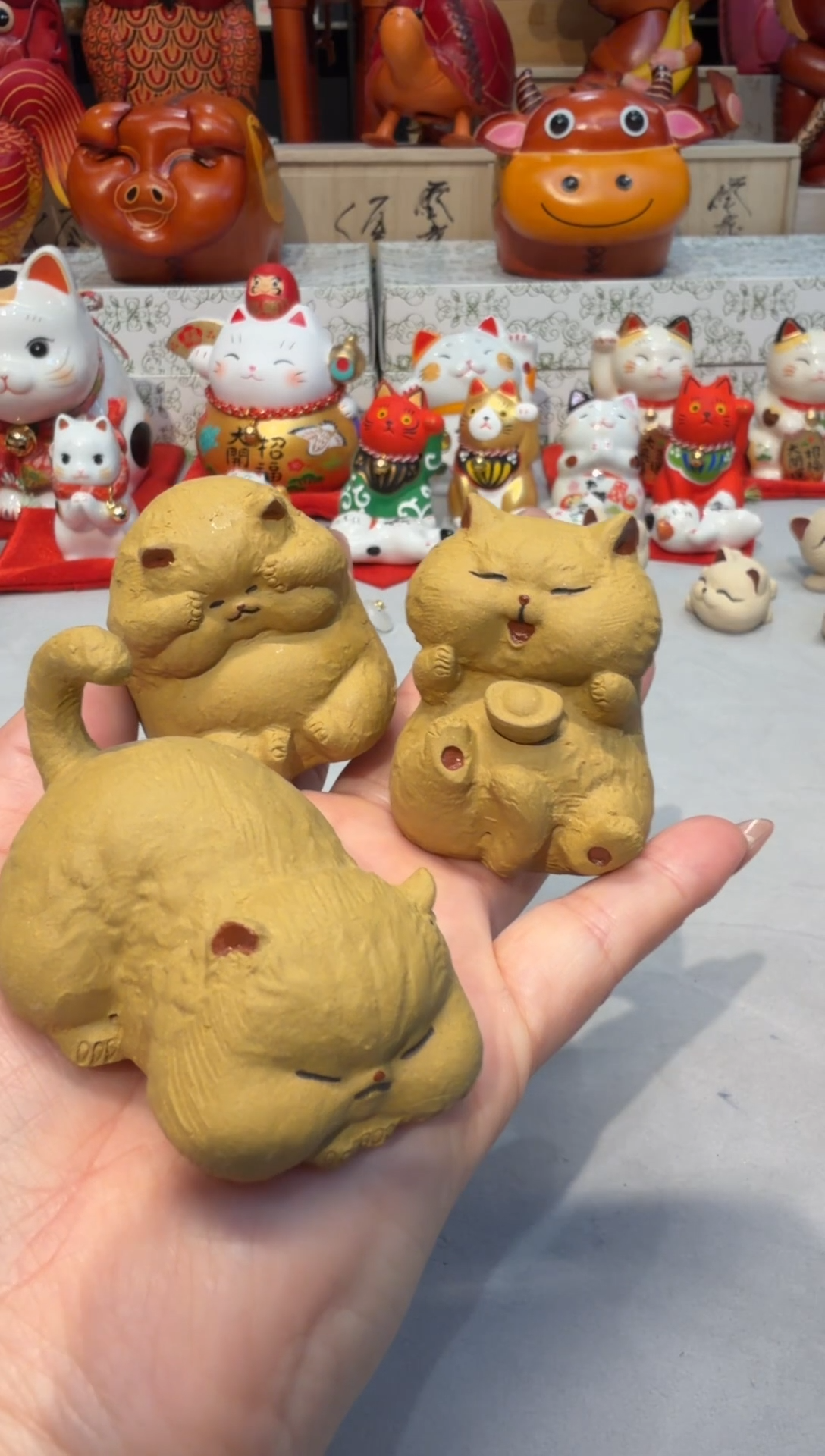 A41562      招财猫猫