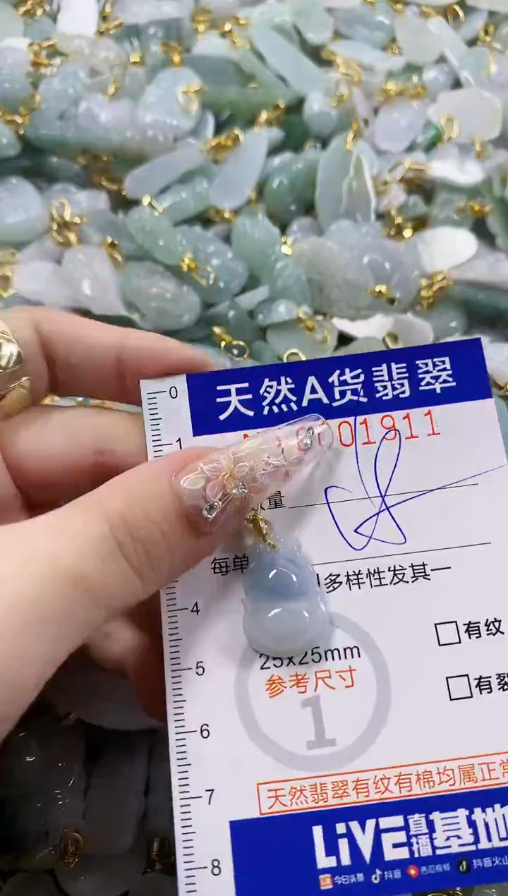 颈饰未镶嵌翡翠天然A货翡翠