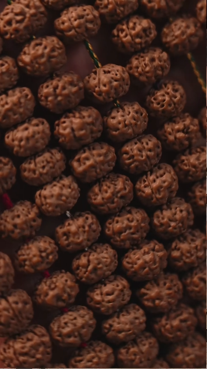 吊坠金刚菩提S05树祖