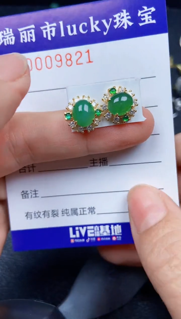 【闪购商品】翡翠颈饰银S925镶嵌9821