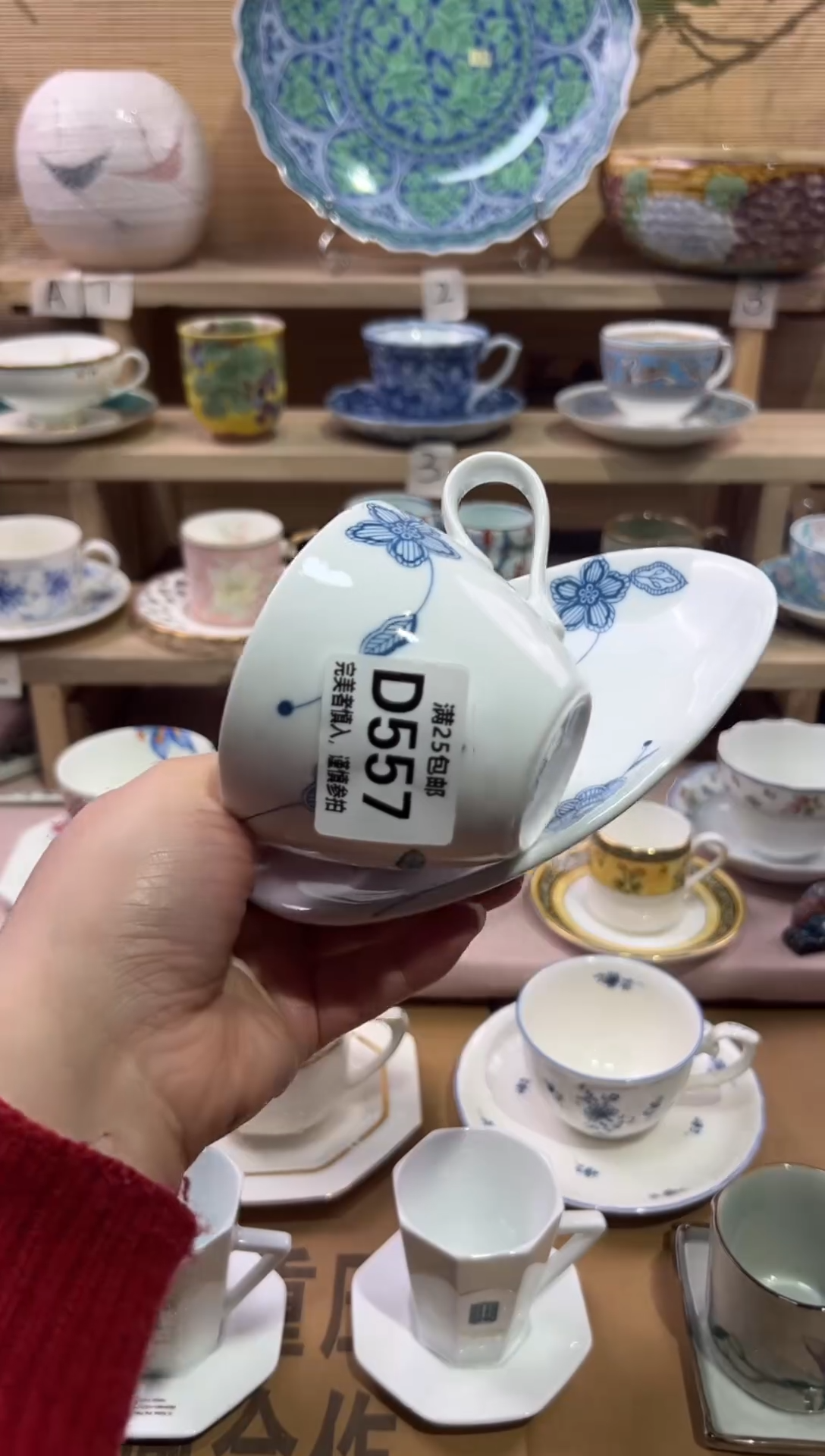 瓷片娥*               D557