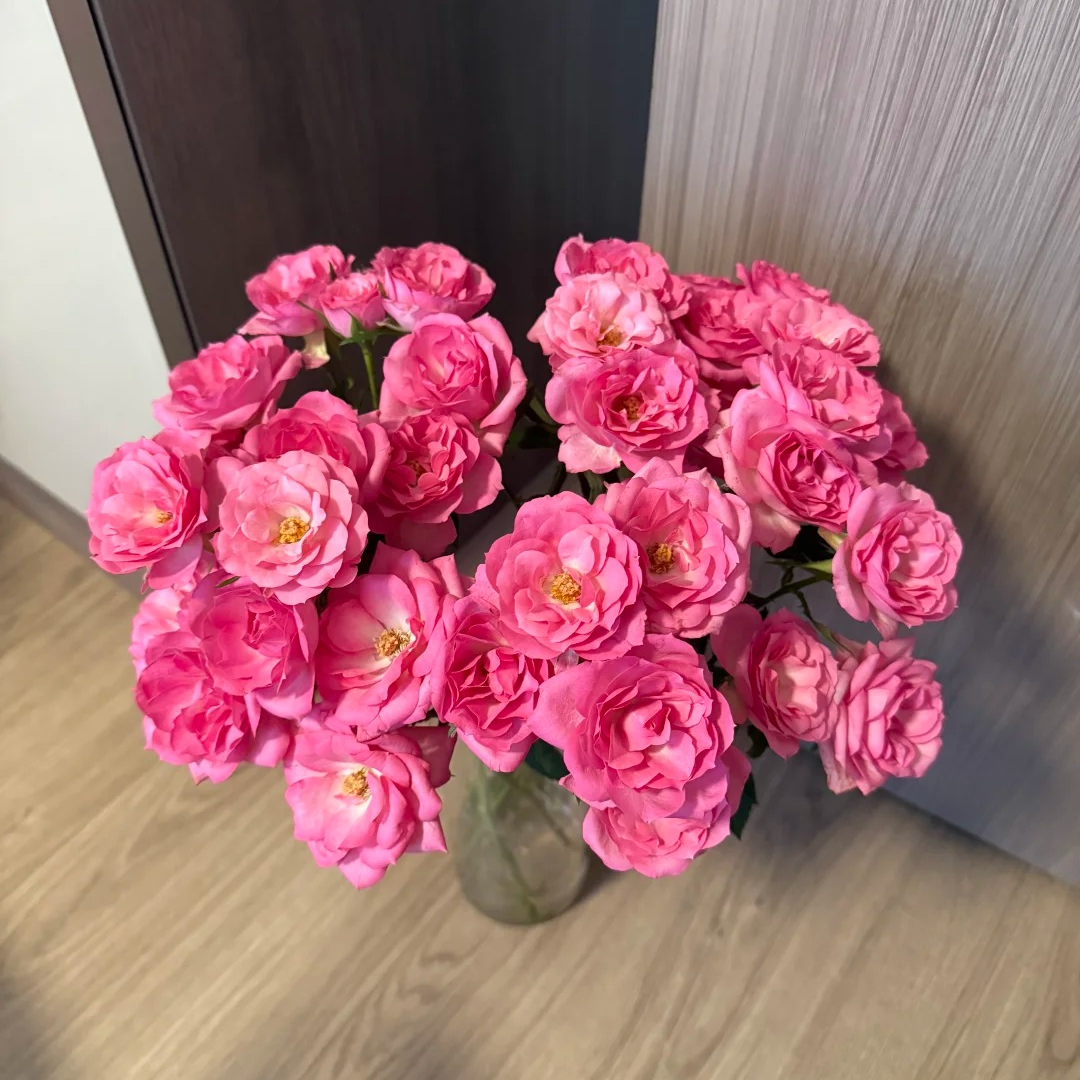 粉莲花，多头玫瑰，1单冷链包邮，2单升级顺丰冷链，远的发德邦