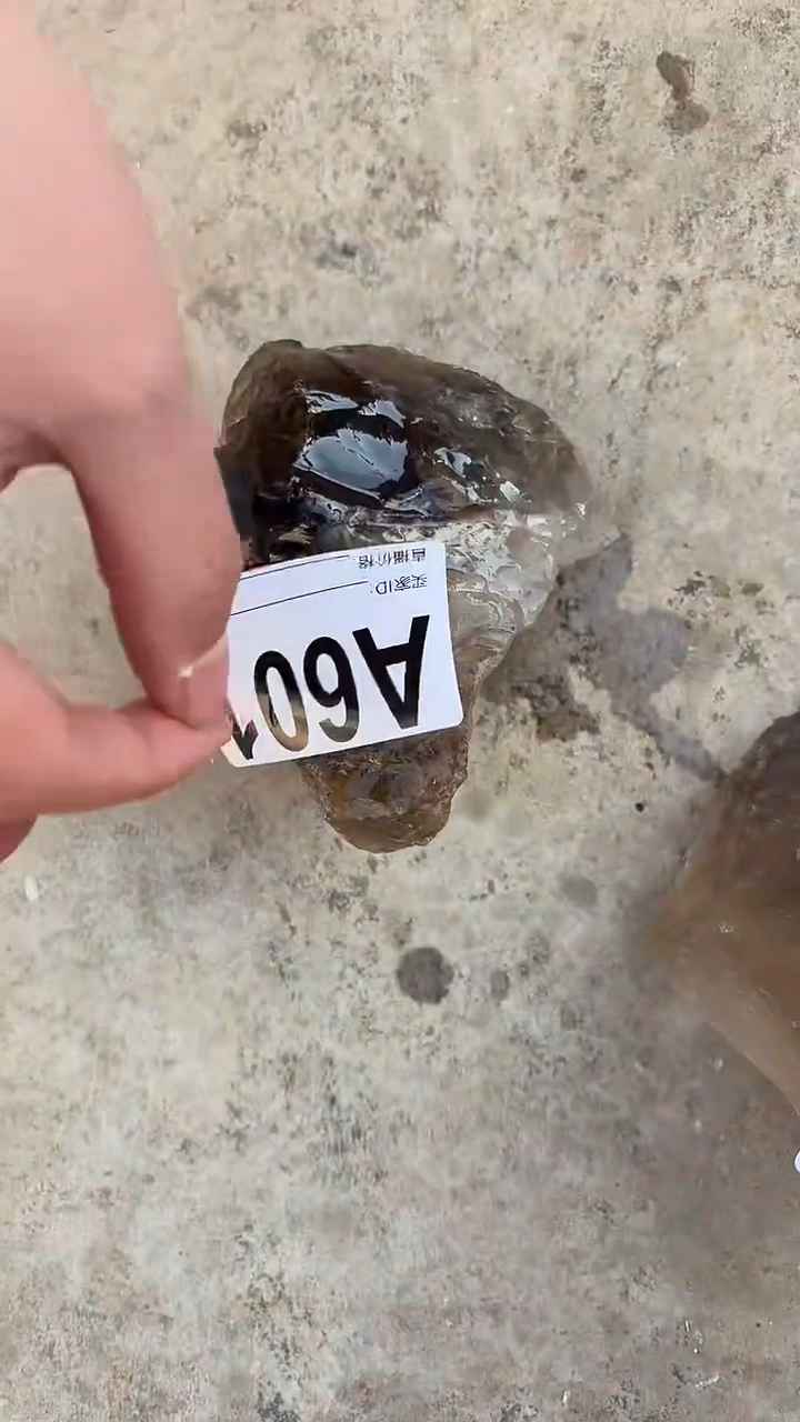 【闪购商品】水晶摆件未镶嵌茶水晶 601