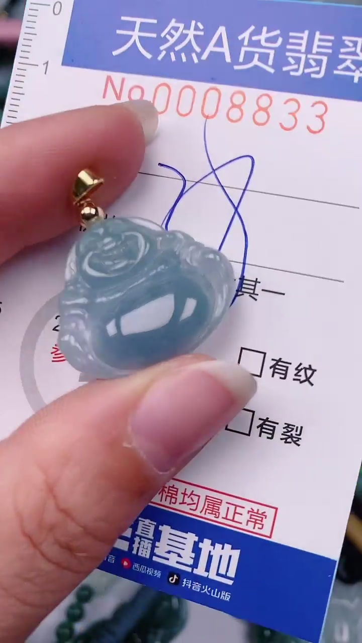 【闪购商品】翡翠颈饰未镶嵌00008833