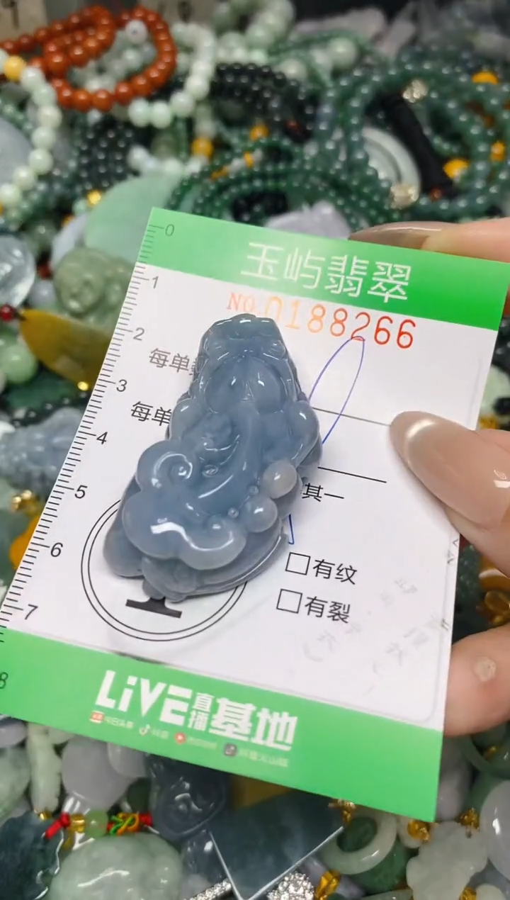 翡翠未镶嵌颈饰闪购0188266