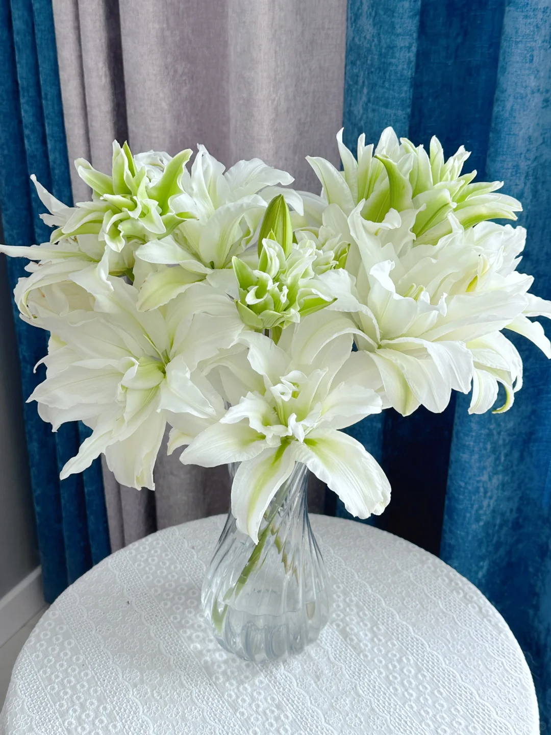 重瓣艾莎百合收到鲜花需醒花 云南爆品鲜花