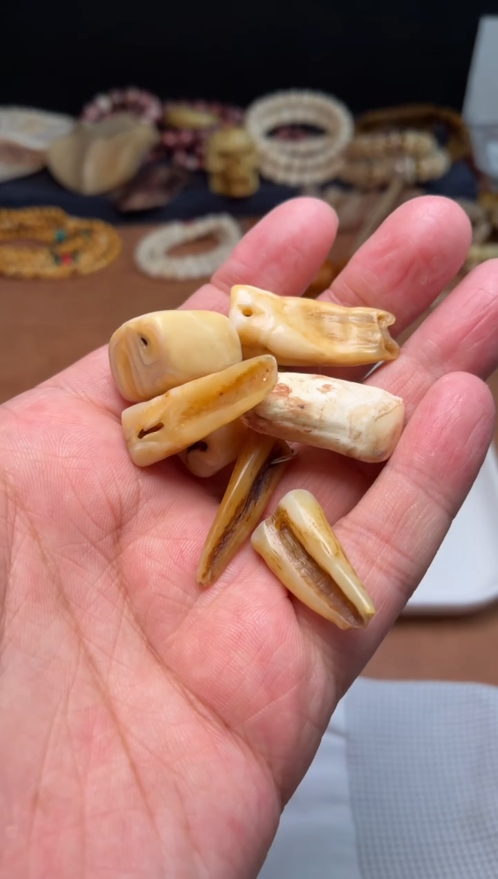 猪牙吊坠F**g杂件486-全部一起发