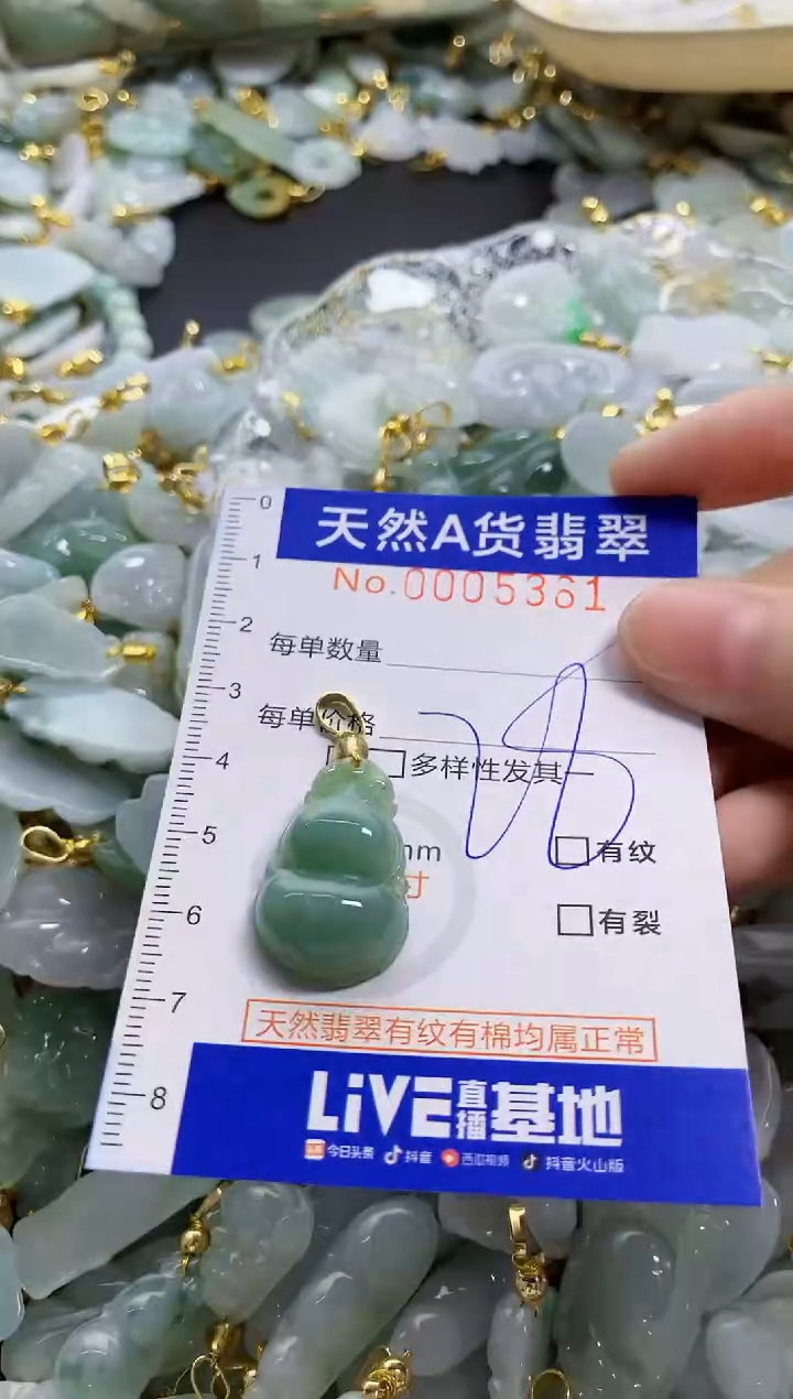 颈饰未镶嵌翡翠天然A货翡翠