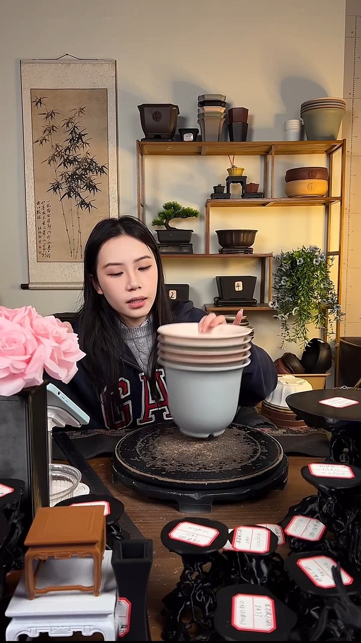 5只18口径金钟马卡龙色系