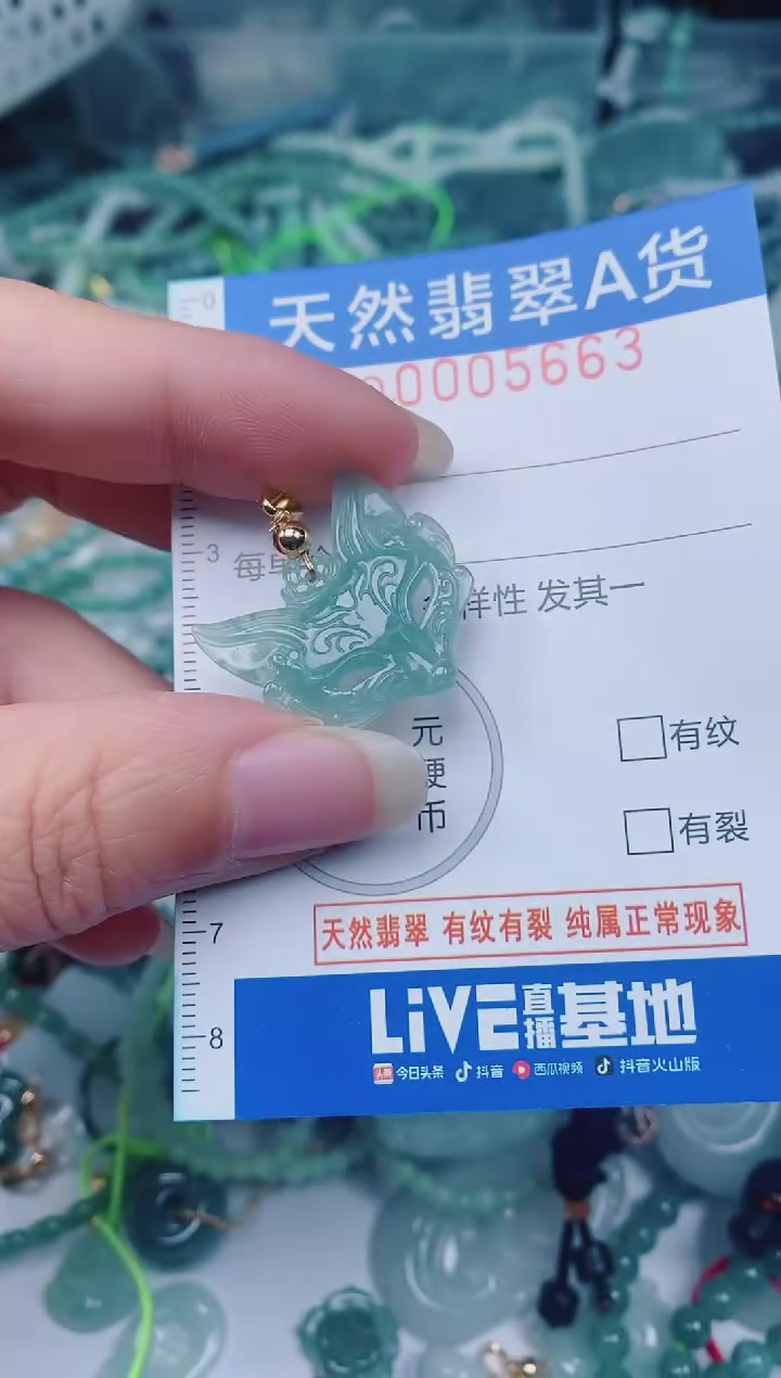 颈饰未镶嵌翡翠00005663