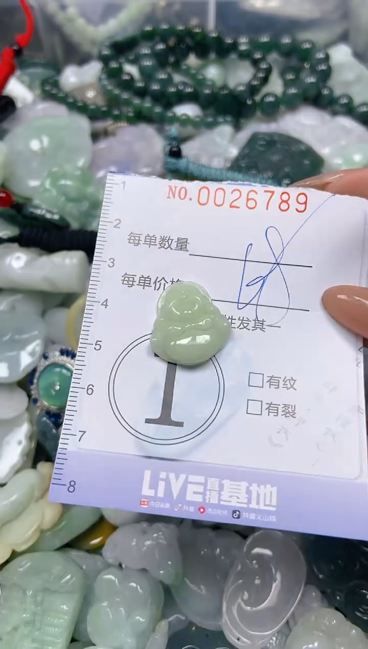 【闪购商品】翡翠颈饰未镶嵌闪购0026789