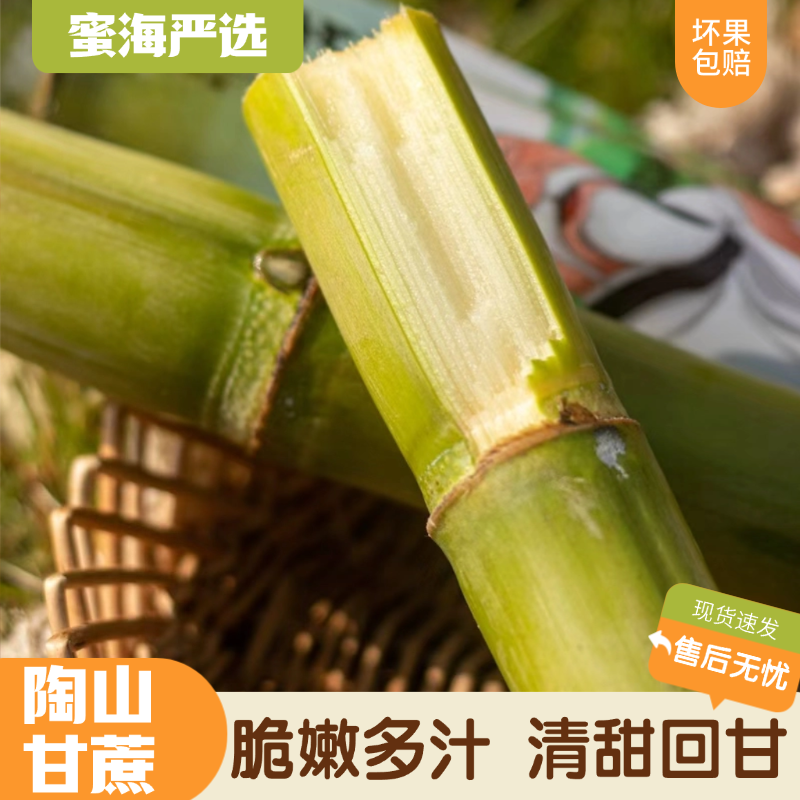 【蜜海严选】陶山甘蔗3斤独立包装脆嫩多汁 清甜回甘