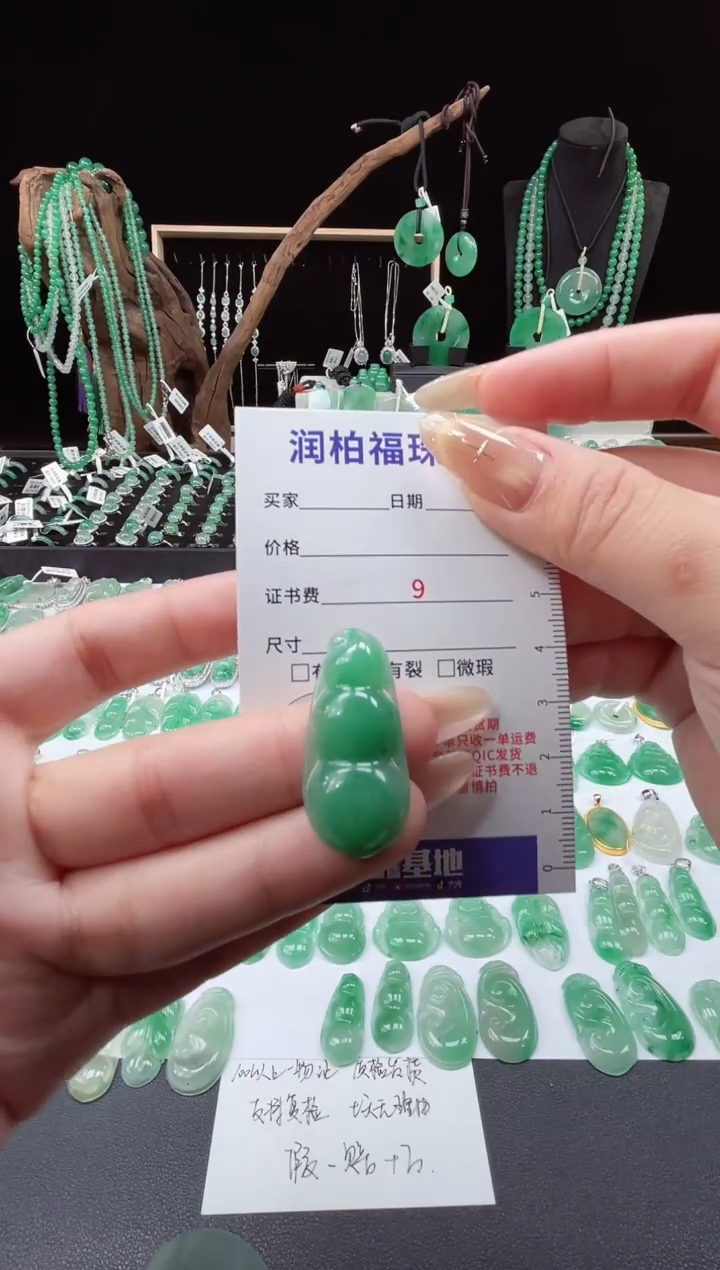 吊坠(不含链)未镶嵌石英质玉（非洲翠）25.36豆子