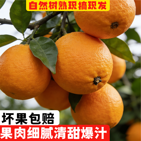 正宗奉节脐橙5斤10斤装新鲜现摘水果鲜甜橙子非赣南脐橙坏果包赔